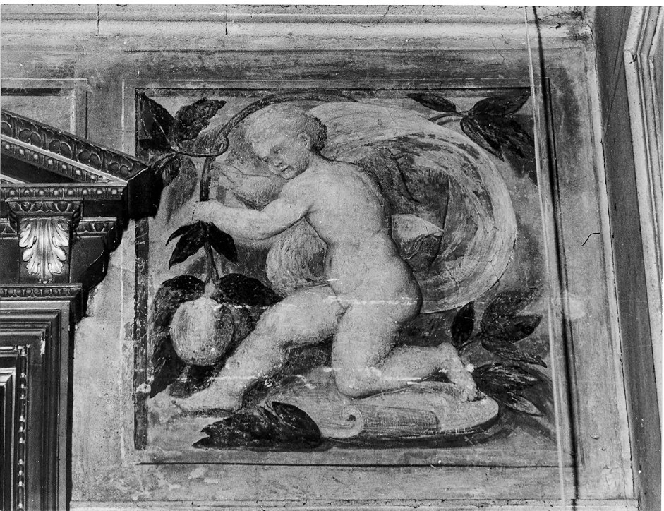 Putto - Milano